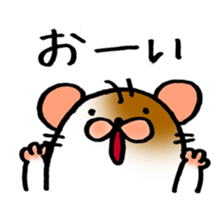 5454348