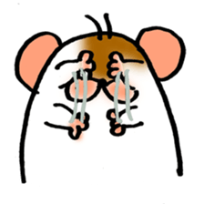 5454350