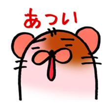 5454362
