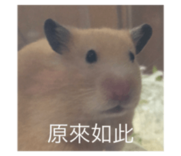 545476591