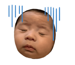 545476896