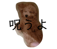 545528746