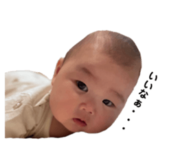 545532397