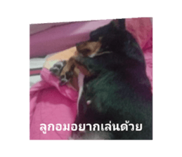 545573485