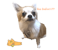 545582128