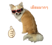 545582134