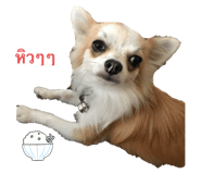 545582139