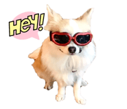 545582140
