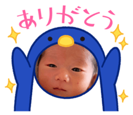 545584258