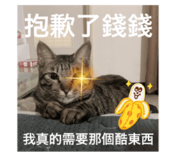 545591803