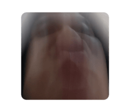 545600160