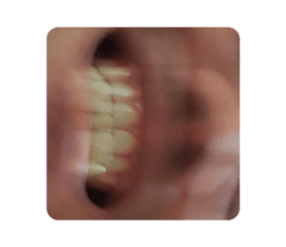 545600161