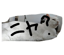 545605971