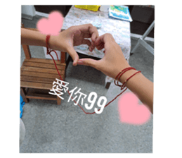545631804