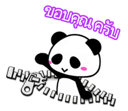 5456384