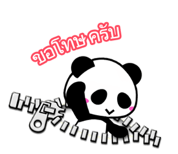 5456393