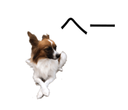545643406