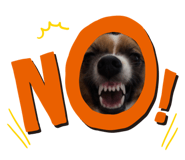 545643410