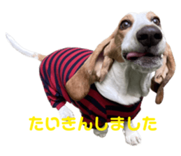 545646142