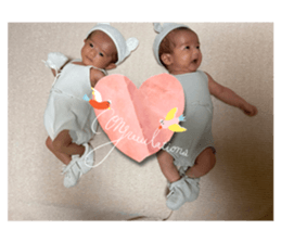 545648335