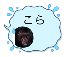 545656362