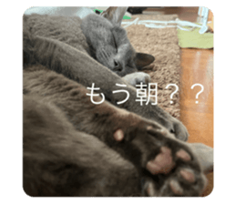 545657512