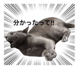 545657517