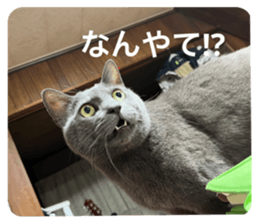 545657523