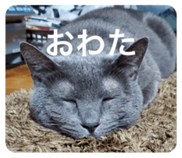545657534