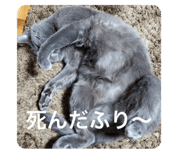 545657535