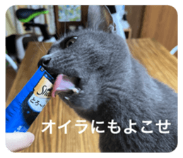 545657540