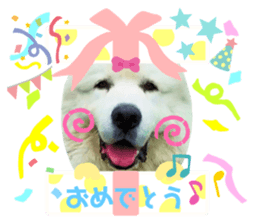545667826