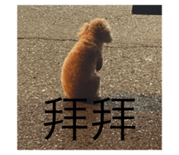 545672839