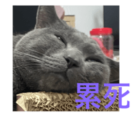 545695548