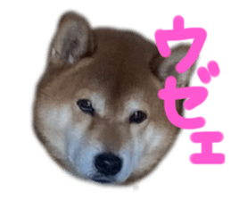 545710873