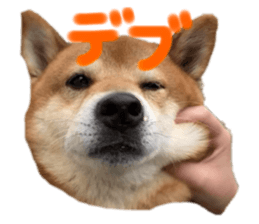 545710875
