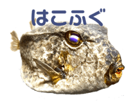 545754529