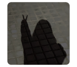 545763570
