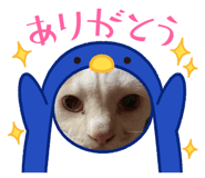 545797759