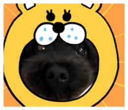 545824824