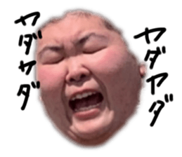 545830069