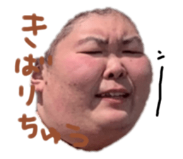 545830076