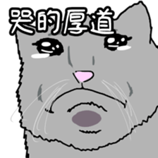 545843002