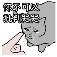 545843004