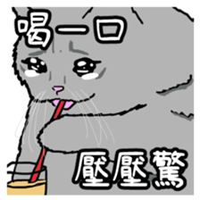 545843006