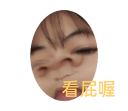 545857306