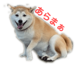 545860650