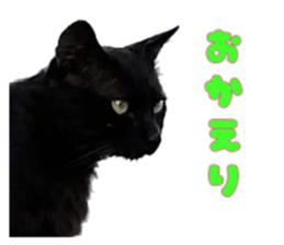 545865792