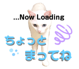 545865862