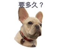 545867336